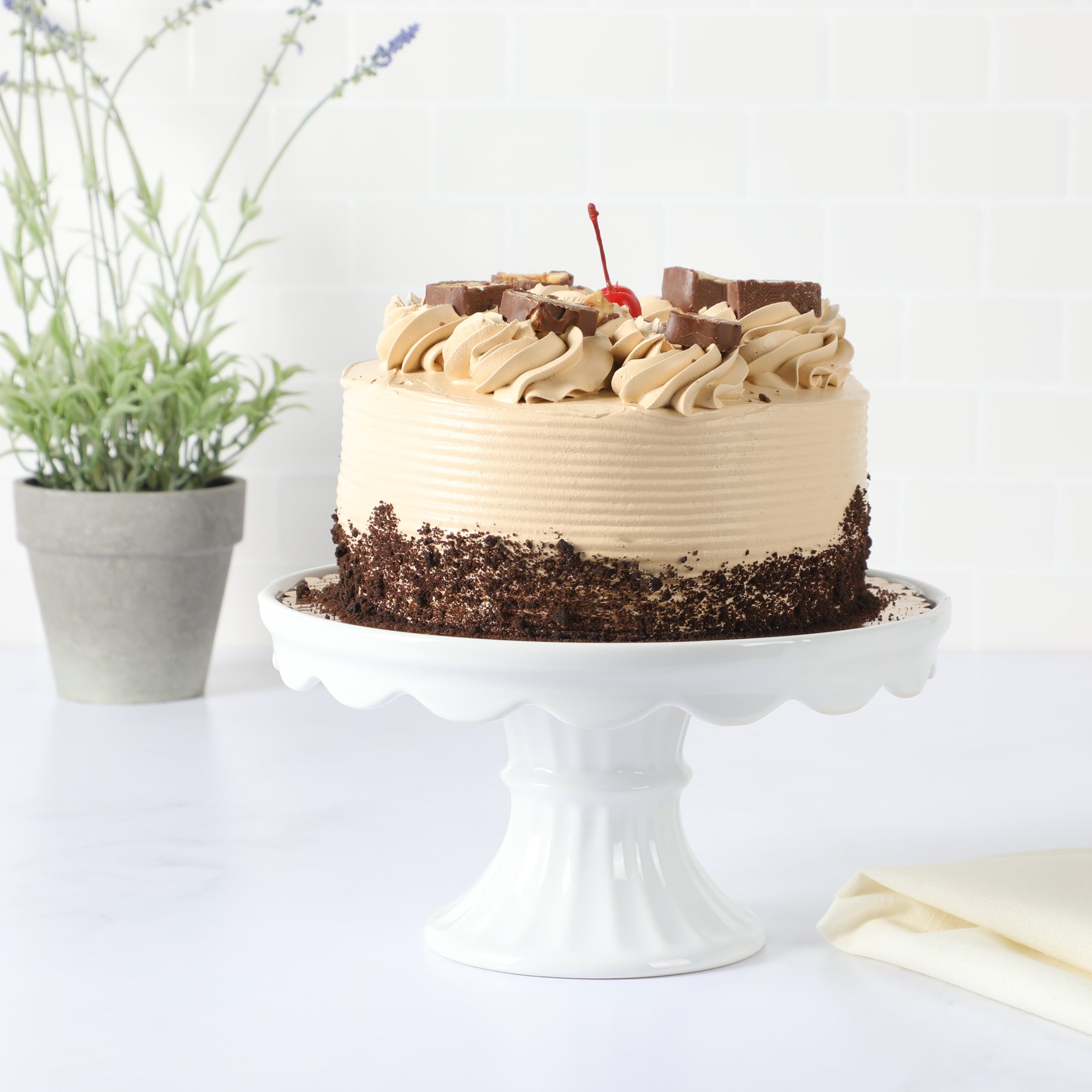 Martha Stewart Patterson 10" x 5.1" White Round Stoneware Cake Stand - Image 2